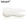 Chocolate and Tooth USB Flash Drive 2.0 Chocolate and Tooth USB Flash Drive 2.0